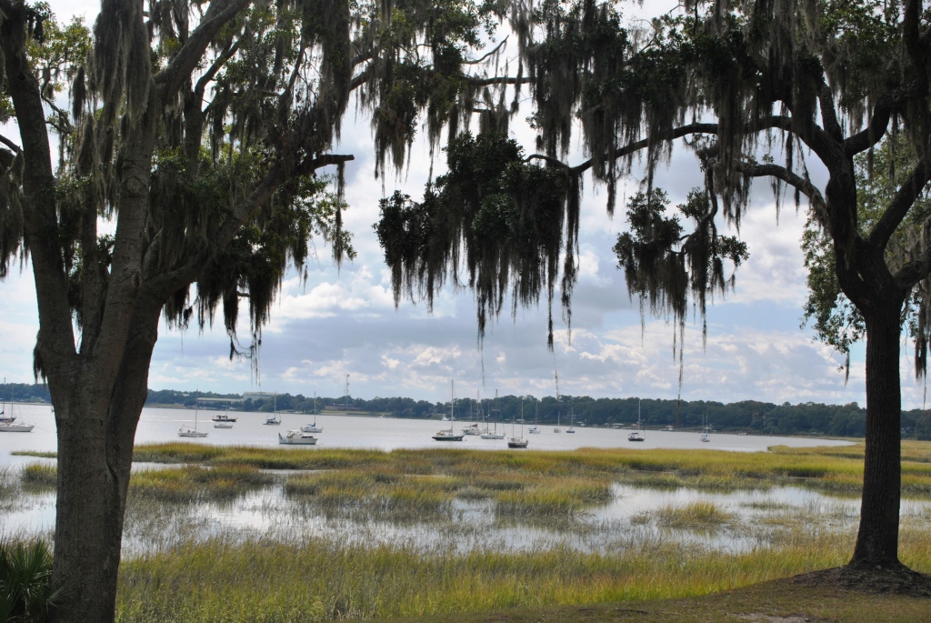 Live oaks framing the Beaufort waterfront